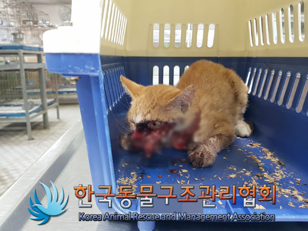 종료(자연사) 한국…